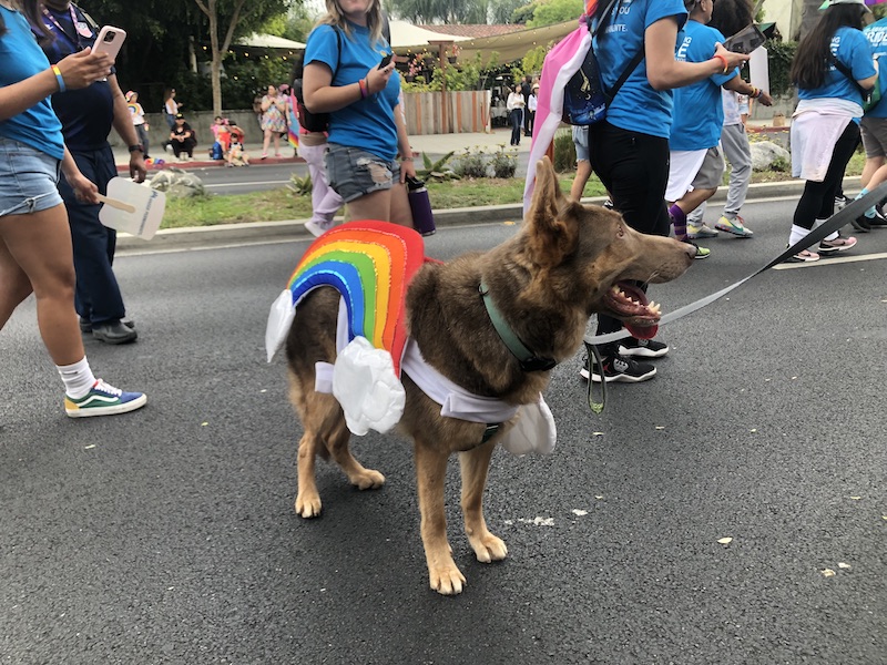 2024 West Hollywood Pride Parade